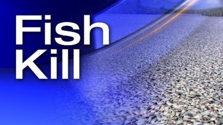fish kill