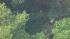 The tree fell on the tent where the man and his...