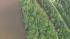 The couple had their two children with them - a...