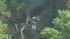 Chopper 6 was over the scene Tuesday morning as...