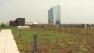 PECO green roof