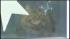 The Pennsylvania SPCA raided a home in the...