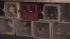 The Pennsylvania SPCA raided a home in the...