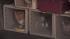 The Pennsylvania SPCA raided a home in the...