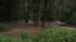 Flooding on July 25, 2011: Flooding on July 25,...