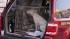 Pennsylvania SPCA officials are investigating a...