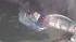 Fire at industrial warehouse in Plainfield Twp.