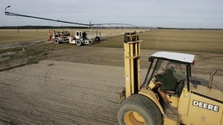 A worker waits with a fork lift as a stacker machine cuts Bluegrass sod from a field at Tuckahoe Turf Farms, Inc., in Hammonton, N.J., Wednesday Jan. 16, 2008.