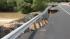 Flood damage