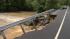 Flood damage