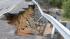 Flood damage