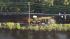 Chopper 6 over the scene as the Willow Grove...