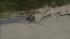 Hurricane Irene