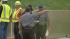 Deadly crash on the Northeast Extension