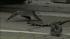 Deadly crash on the Northeast Extension