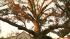 Neighbors and relatives say 61-year-old Frank J....