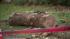 Neighbors and relatives say 61-year-old Frank J....