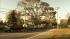Neighbors and relatives say 61-year-old Frank J....