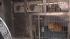 The Action Cam was there as the SPCA rescued 33...