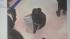 Upper Darby police are searching for two robbery...