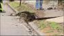 Allentown sinkhole sidewalk damage