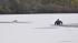 Dog rescued from icy water in old cranberry bog