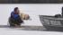 Dog rescued from icy water in old cranberry bog