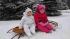 Baby Caroline and Charlotte are hanging out on a...