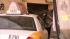 A taxi cab crashed into a Roxborough sneaker...