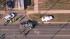 Fatal crash in Vineland, N.J.