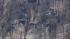 Chopper 6 HD was over the Chester Heights Camp...