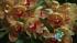 Philadelphia Flower Show preview ::