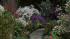 Say goodbye to winter and Aloha to spring with...