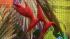 Say goodbye to winter and Aloha to spring with...