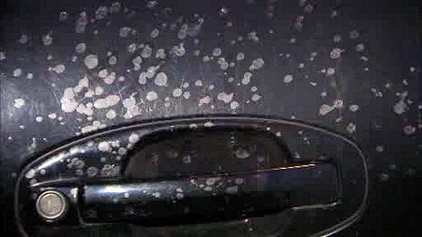 Damaged Car Paint Vandalism Damaged Car Paint Vandalism