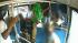 SEPTA bus robbery caught on tape
