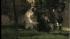 Puppies rescued from fire in Hopewell Twp., New...