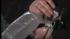 Puppies rescued from fire in Hopewell Twp., New...