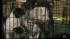 Puppies rescued from fire in Hopewell Twp., New...