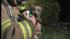 Puppies rescued from fire in Hopewell Twp., New...