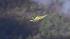 Two forest fires broke out Friday morning...