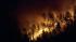 Firefighters battle 600-acre Burlington Co.... :: A forest fire is burning in NJ again