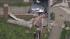 Police-involved crash in Yeadon, Pa.