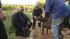 Photos of Atlantic Co. dog rescue