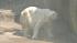 As the temps soared to welcome summer, animals...