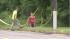 Wolf-dog in Pennypack Park in Northeast...
