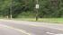 Wolf-dog in Pennypack Park in Northeast...