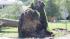 An Action News viewer sent in this photo of a...