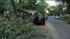 Damage from summer storms