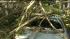 Damage from summer storms